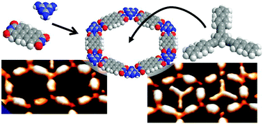 Graphical abstract: Bestowing structure upon the pores of a supramolecular network