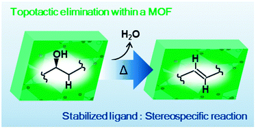 Graphical abstract: Topotactic elimination of water across a C–C ligand bond in a dense 3-D metal–organic framework