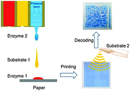 Graphical abstract: Ink-jet printing an optimal multi-enzyme system