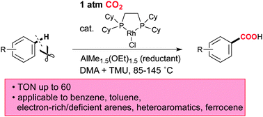 Graphical abstract: Direct carboxylation of simple arenes with CO2 through a rhodium-catalyzed C–H bond activation