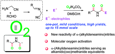 Graphical abstract: Double oxidation of α-(alkylideneamino)nitriles to imides by molecular oxygen under mild basic conditions