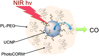 Graphical abstract: A photoCORM nanocarrier for CO release using NIR light