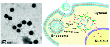 Graphical abstract: Self-folded redox/acid dual-responsive nanocarriers for anticancer drug delivery