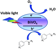 Graphical abstract: Photocatalytic aerobic oxidation of amines to imines on BiVO4 under visible light irradiation