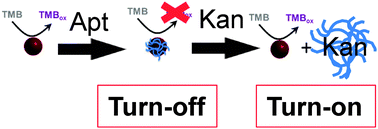 Graphical abstract: Aptamer-mediated ‘turn-off/turn-on’ nanozyme activity of gold nanoparticles for kanamycin detection