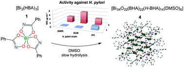 Graphical abstract: Bismuth(iii) benzohydroxamates: powerful anti-bacterial activity against Helicobacter pylori and hydrolysis to a unique Bi34 oxido-cluster [Bi34O22(BHA)22(H-BHA)14(DMSO)6]