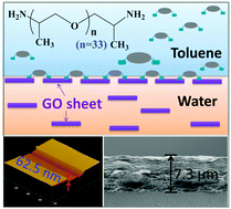 Graphical abstract: Stitching graphene oxide sheets into a membrane at a liquid/liquid interface