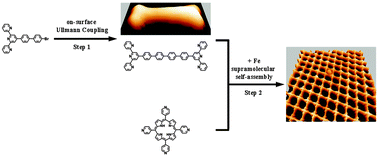 Graphical abstract: Self-assembly of metal–organic coordination networks using on-surface synthesized ligands