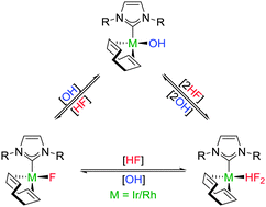 Graphical abstract: Fluoride, bifluoride and trifluoromethyl complexes of iridium(i) and rhodium(i)