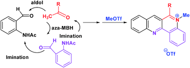 Graphical abstract: One-pot synthesis of dibenzo[b,h][1,6]naphthyridines from 2-acetylaminobenzaldehyde: application to a fluorescent DNA-binding compound
