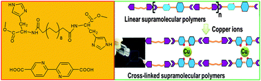 Graphical abstract: Supramolecular copolymers obtained from two-component gels: metal ion-mediated cross-linking, enhanced viscoelasticity and supramolecular yarns