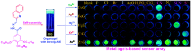 Graphical abstract: A novel supramolecular metallogel-based high-resolution anion sensor array