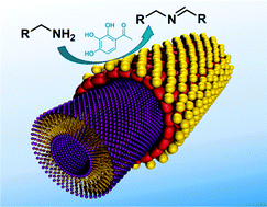 Graphical abstract: Co-catalytic oxidative coupling of primary amines to imines using an organic nanotube–gold nanohybrid