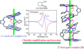 Graphical abstract: Step-wise induction, amplification and inversion of molecular chirality through the coordination of chiral diamines with Zn(ii) bisporphyrin