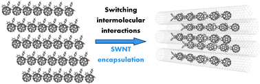 Graphical abstract: Switching intermolecular interactions by confinement in carbon nanotubes