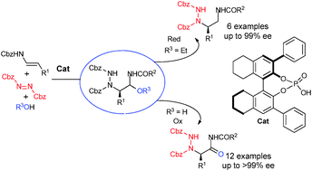 Graphical abstract: Catalytic, highly enantioselective, direct amination of enecarbamates