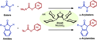 Graphical abstract: Ni-Catalyzed α-arylation of esters and amides with phenol derivatives