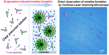 Graphical abstract: In situ observation of the evaporation-induced self-assembling process of PS-b-PEO diblock copolymers for the fabrication of titania films by confocal laser scanning microscopy