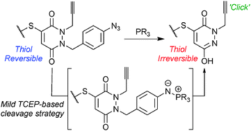 Graphical abstract: A mild TCEP-based para-azidobenzyl cleavage strategy to transform reversible cysteine thiol labelling reagents into irreversible conjugates