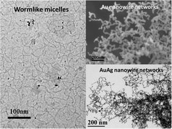 Graphical abstract: Facile synthesis of gold and gold-based alloy nanowire networks using wormlike micelles as soft templates