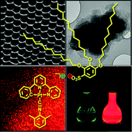 Graphical abstract: Phosphorescent organoplatinum(ii) complexes with a lipophilic anion: supramolecular soft nanomaterials through ionic self-assembly and metallophilicity