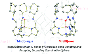 Graphical abstract: Exploring Mn–O bonding in the context of an electronically flexible secondary coordination sphere: synthesis of a Mn(iii)–oxo
