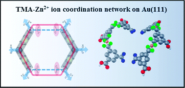 Graphical abstract: Solution phase post-modification of a trimesic acid network on Au(111) with Zn2+ ions