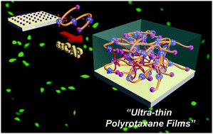 Graphical abstract: Fabrication of ultra-thin polyrotaxane-based films via solid-state continuous assembly of polymers