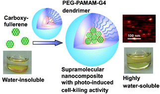 Graphical abstract: Facile construction of well-defined fullerene–dendrimer supramolecular nanocomposites for bioapplications