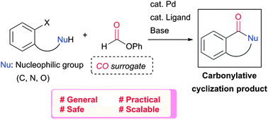 Graphical abstract: Concise synthesis of cyclic carbonyl compounds from haloarenes using phenyl formate as the carbonyl source