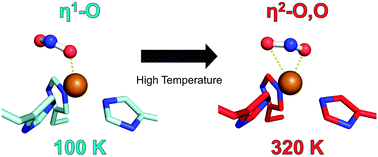 Graphical abstract: High-temperature and high-resolution crystallography of thermostable copper nitrite reductase