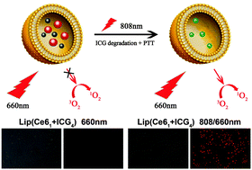 Graphical abstract: Activatable photodynamic destruction of cancer cells by NIR dye/photosensitizer loaded liposomes