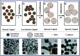 Graphical abstract: Aggregation-based abrupt crystallization from amorphous Ag2S to Ag2S nanocrystals