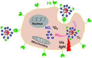 Graphical abstract: Photo-controlled targeted intracellular delivery of both nitric oxide and singlet oxygen using a fluorescence-trackable ruthenium nitrosyl functional nanoplatform