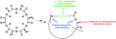 Graphical abstract: Anion recognition by cyclic peptides