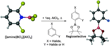 Graphical abstract: Regioselective electrophilic borylation of haloarenes