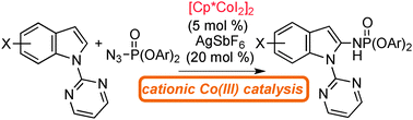 Graphical abstract: A Cp*CoI2-dimer as a precursor for cationic Co(iii)-catalysis: application to C–H phosphoramidation of indoles