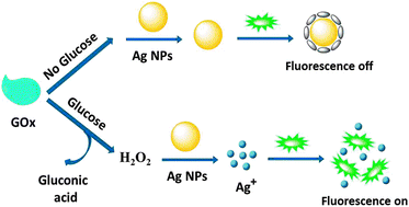 Graphical abstract: Fluorescence turn-on detection of glucose via the Ag nanoparticle mediated release of a perylene probe