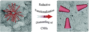 Graphical abstract: Reductive dismantling and functionalization of carbon nanohorns