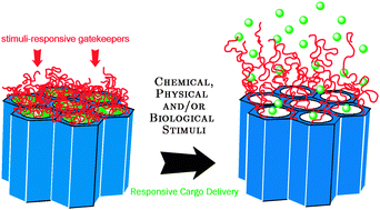Graphical abstract: Gated supramolecular chemistry in hybrid mesoporous silica nanoarchitectures: controlled delivery and molecular transport in response to chemical, physical and biological stimuli