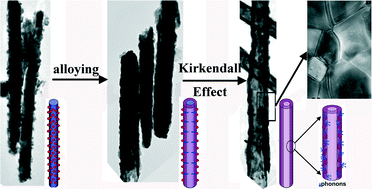 Graphical abstract: Thermoelectric metal tellurides with nanotubular structures synthesized by the Kirkendall effect and their reduced thermal conductivities