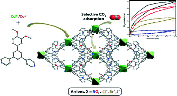 Graphical abstract: Variation of CO2 adsorption in isostructural Cd(ii)/Co(ii) based MOFs by anion modulation