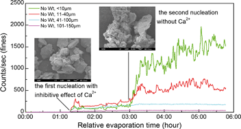 Graphical abstract: Inhibitive effect of calcium on the primary nucleation of sodium carbonate in the evaporation process of the caustic liquor