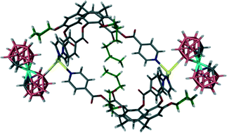 Graphical abstract: Tuning the coordination chemistry of cyclotriveratrylene ligand pairs through alkyl chain aggregation