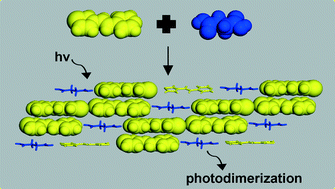 Graphical abstract: Head-to-tail photodimerization of a thiophene in a co-crystal and a rare adipic acid dimer in the presence of a heterosynthon