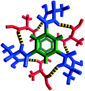 Graphical abstract: Crystal structures and hydrogen bond analysis of five amino acid conjugates of terephthalic and benzene-1,2,3-tricarboxylic acids