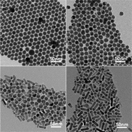 Graphical abstract: Controllable growth of Ag2S–CdS heteronanostructures