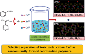 Graphical abstract: Coordination polymers derived from pyridyl carboxylate ligands having an amide backbone: an attempt towards the selective separation of CuII cation following in situ crystallization under competitive conditions