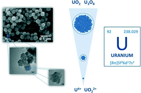 Graphical abstract: Preparation and characterisation of uranium oxides with spherical shapes and hierarchical structures