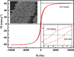 Graphical abstract: Controlled one-step synthesis of spiky polycrystalline nickel nanowires with enhanced magnetic properties